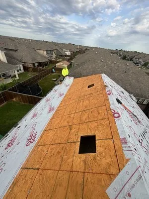 Black Frog Roofing Logo