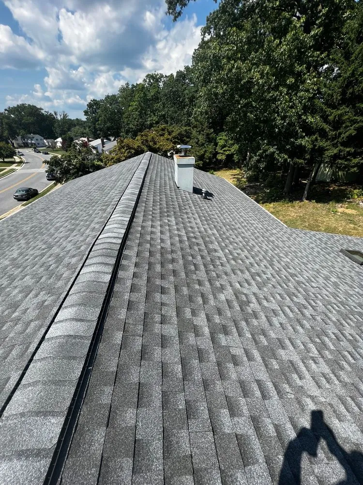 Slide of Black Lion Property Services