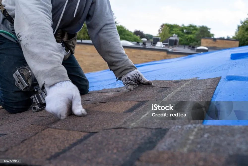 Slide of Black Panther Exteriors