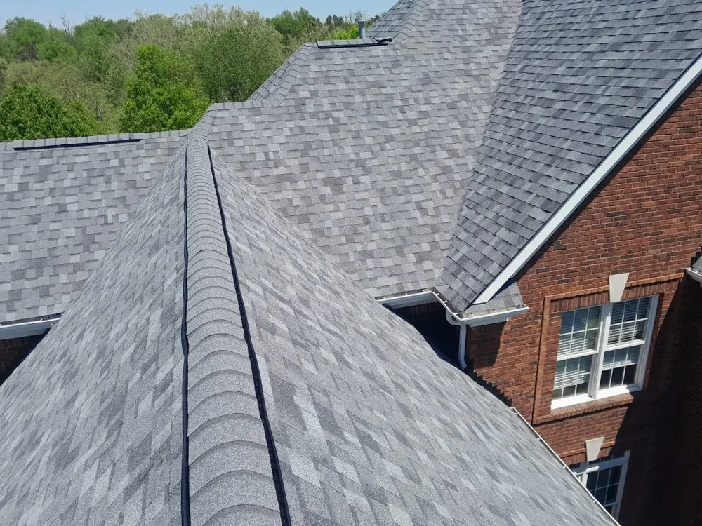 Slide of Black Panther Home Solutions