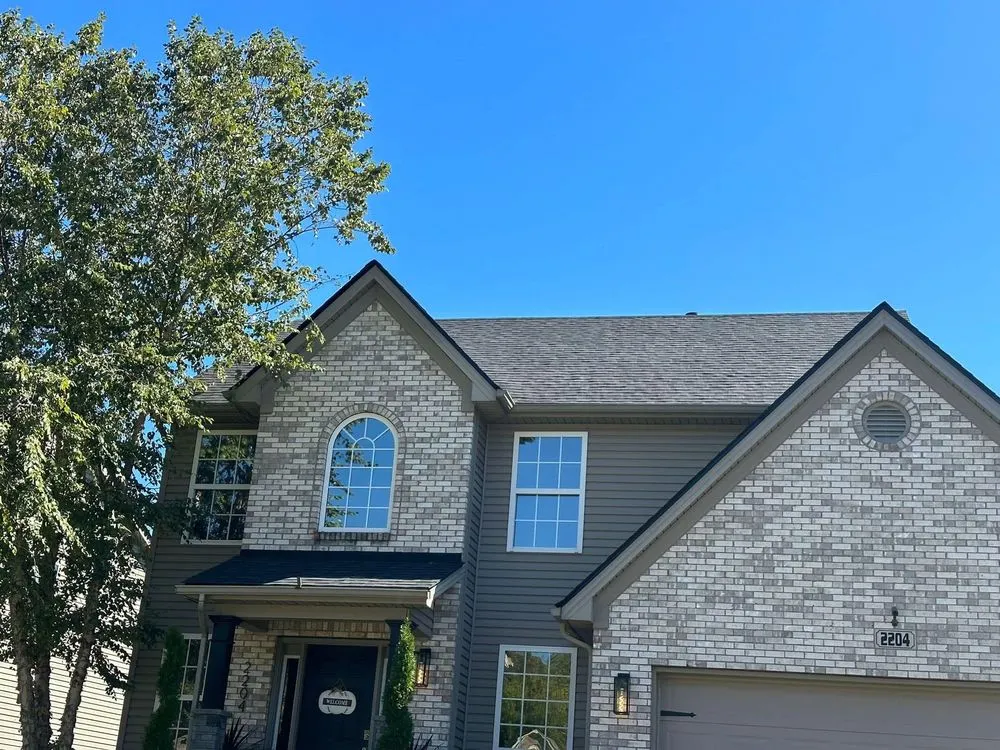 Slide of Black Panther Home Solutions