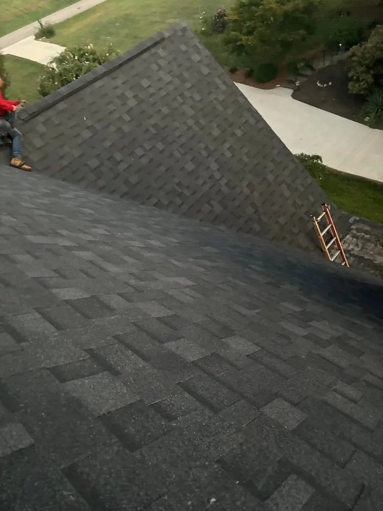 Slide of Black Panther Home Solutions