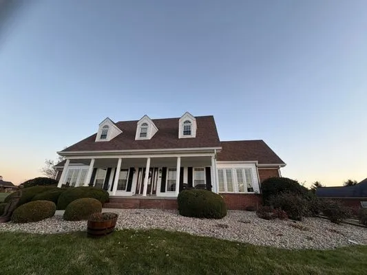 Black Panther Home Solutions Logo