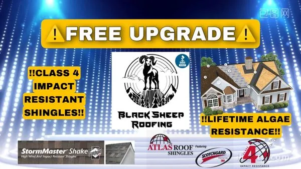 Black Sheep Roofing Logo