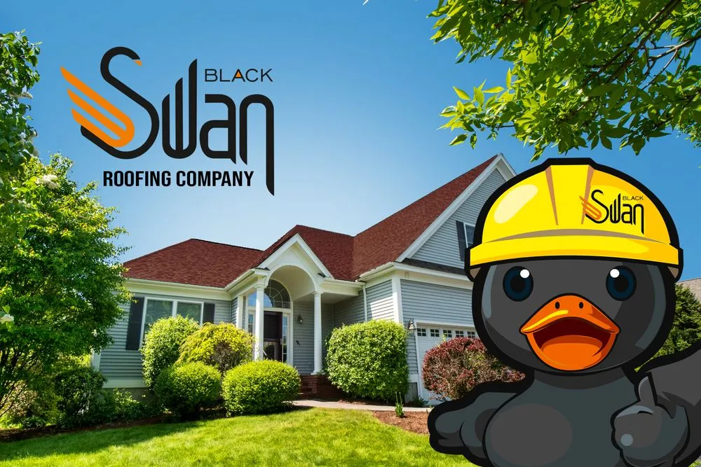 Slide of Black Swan Roofs