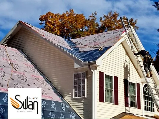 Slide of Black Swan Roofs