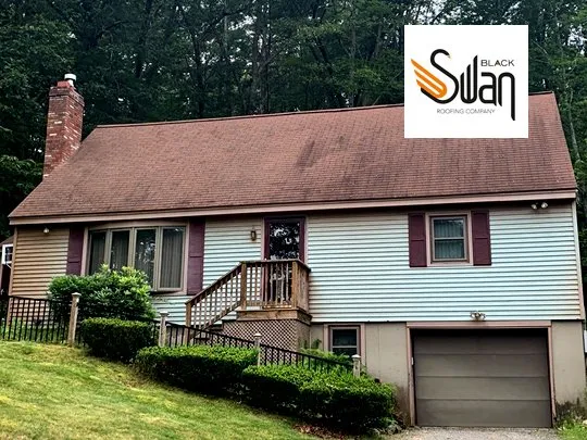 Slide of Black Swan Roofs