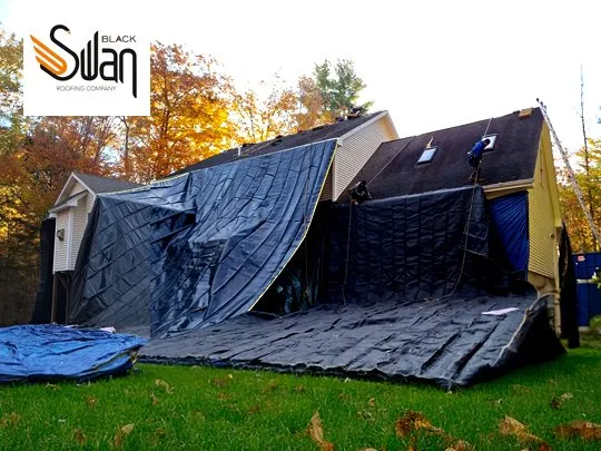 Slide of Black Swan Roofs