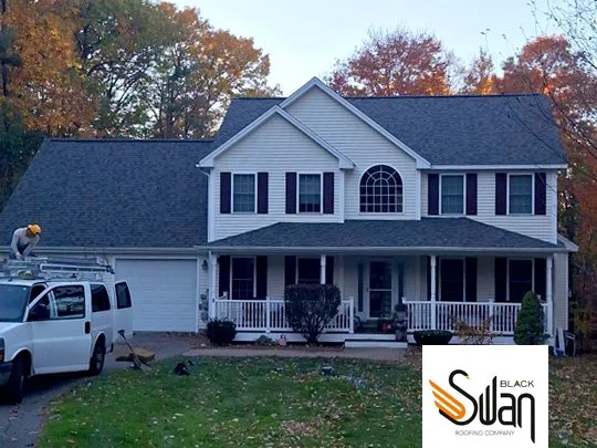 Slide of Black Swan Roofs