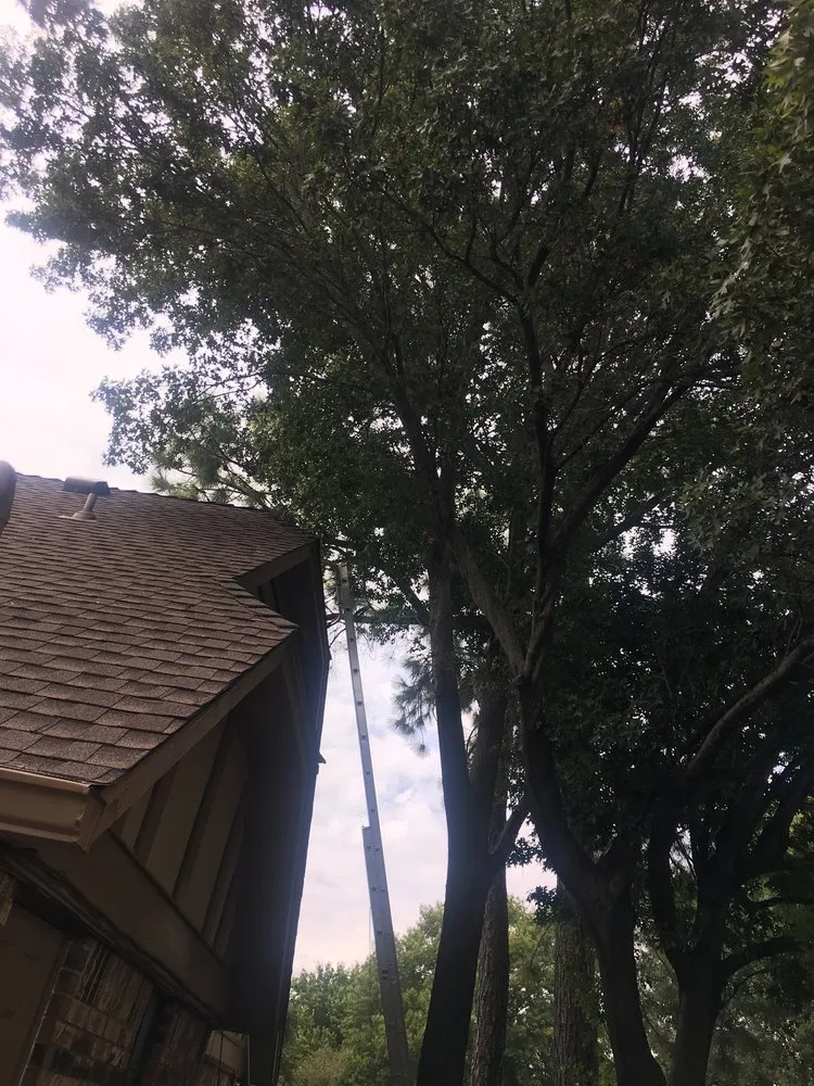 Slide of Black Thunder Roofing