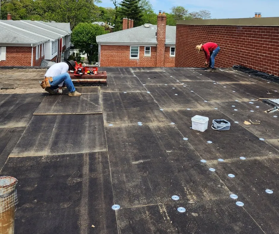 Slide of Black Tree Roofing