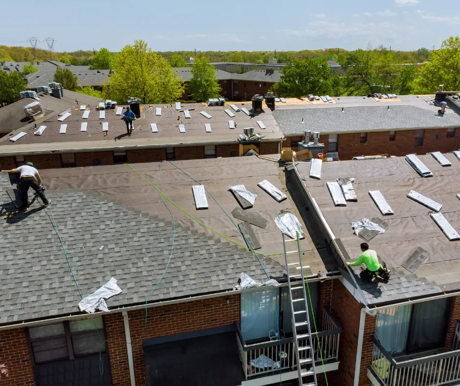 Slide of Black Tree Roofing