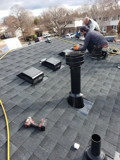 Slide of Blacklight Construction & Landscape