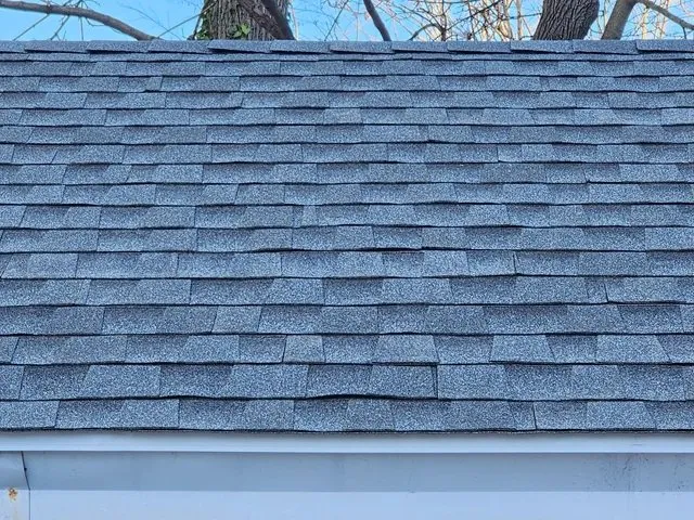 Slide of Blacklight Construction & Landscape