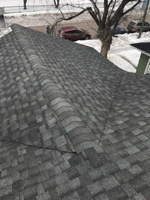 Slide of Blacklight Construction & Landscape