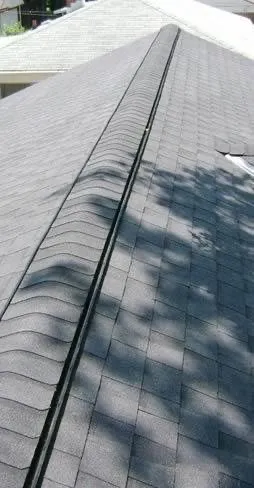 Slide of Blacklight Construction & Landscape