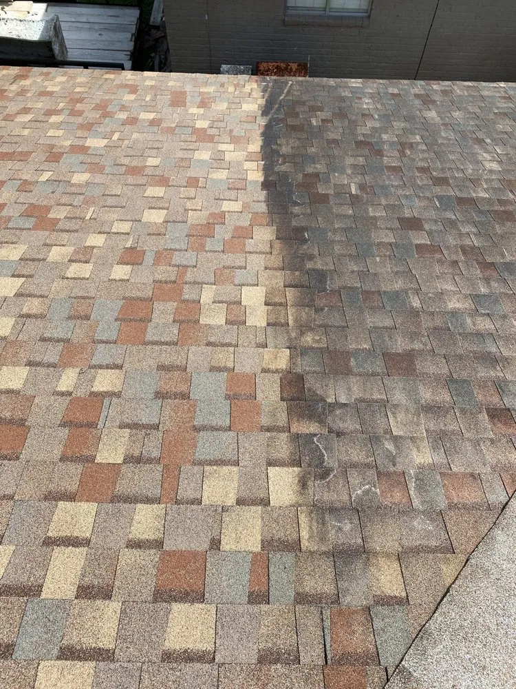 Slide of BlastPro Softwash Solutions