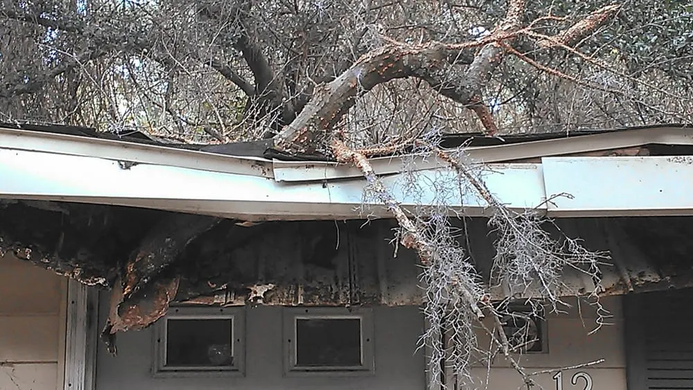 Slide of Blatchley Builders