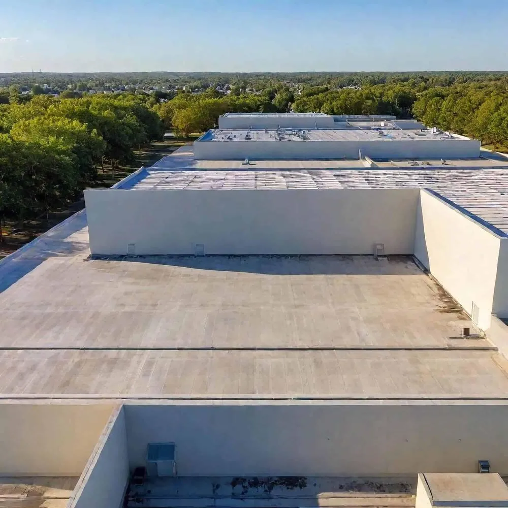 Slide of Blu Dog Contractors