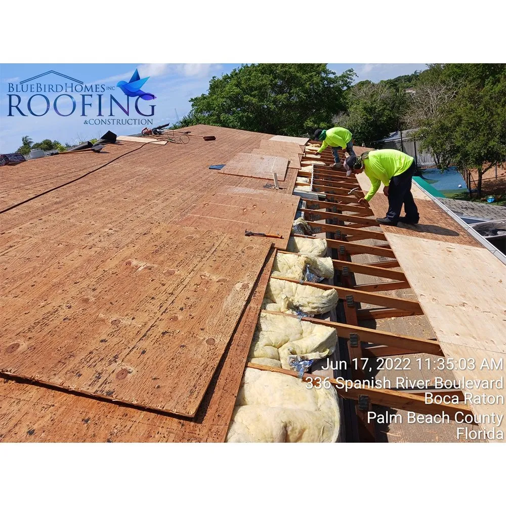 Slide of Blue Bird Homes