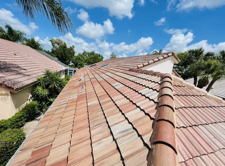 Slide of Blue Bird Homes