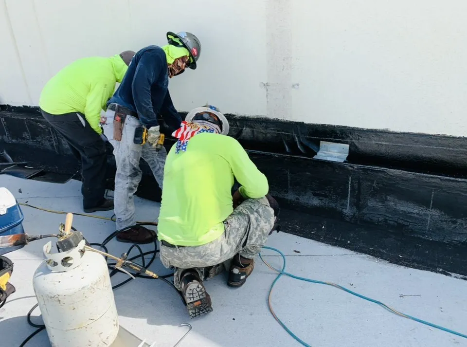 Slide of Blue Bird Homes