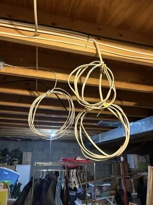 Blue Cardinal Construction Logo