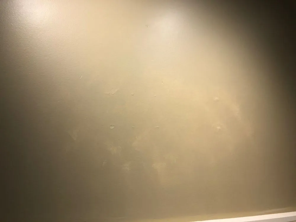 Slide of Blue Collar