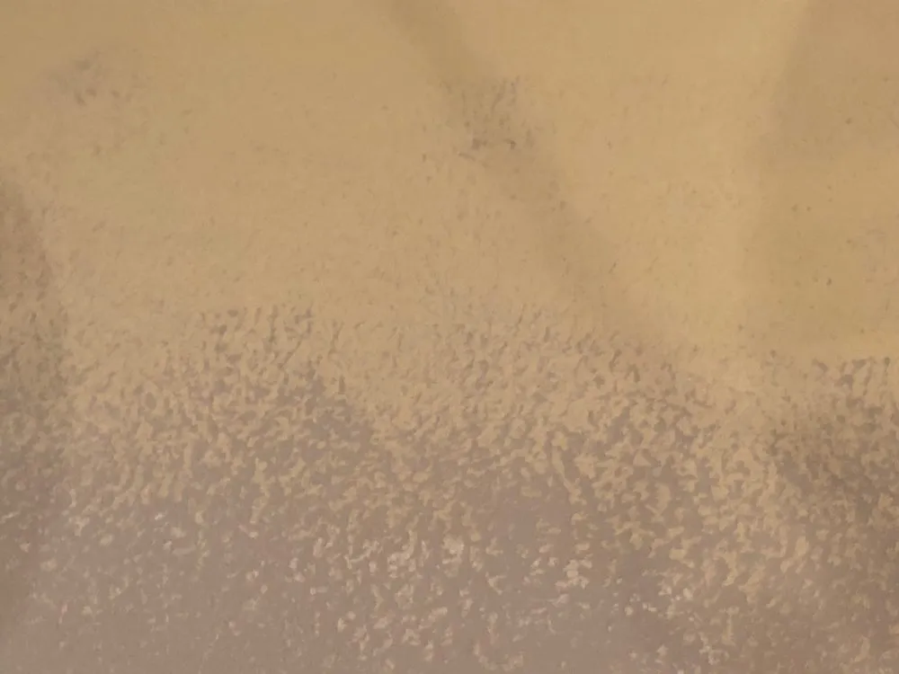 Slide of Blue Collar