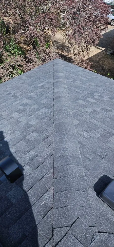 Slide of Blue Collar