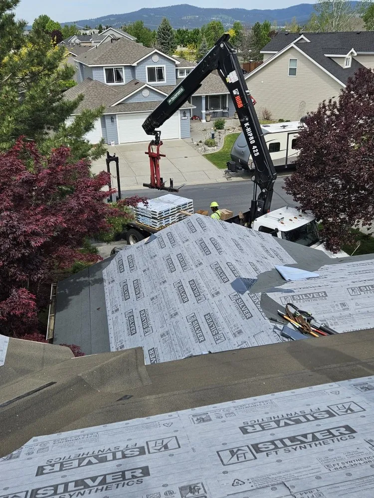 Slide of Blue Collar