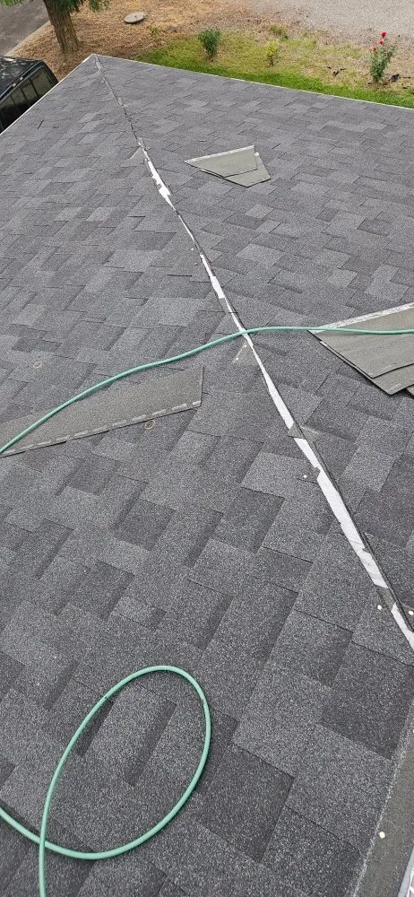 Slide of Blue Collar