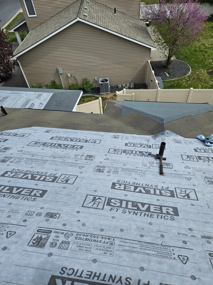 Slide of Blue Collar