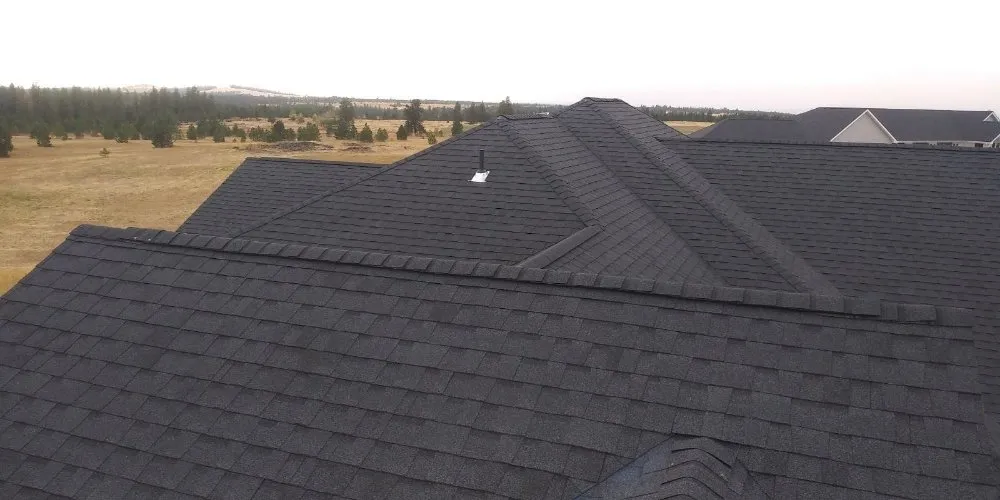 Slide of Blue Collar