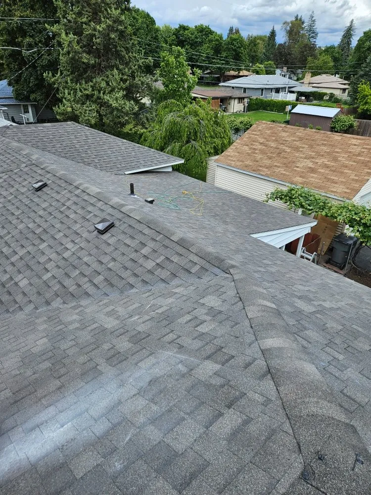 Slide of Blue Collar