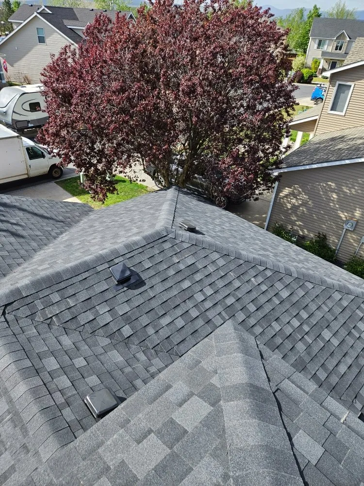 Slide of Blue Collar