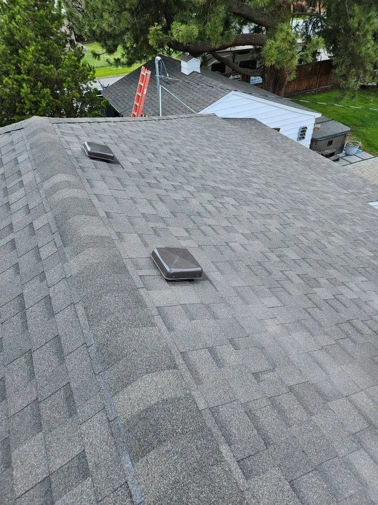 Slide of Blue Collar