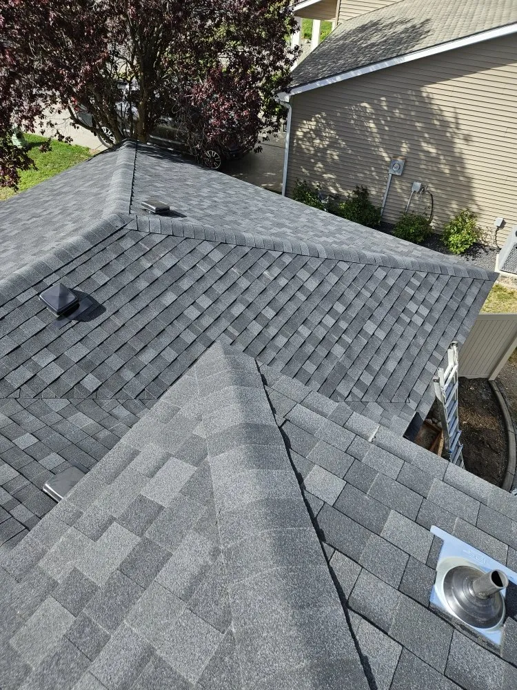 Slide of Blue Collar