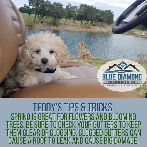 Slide of Blue Diamond Roofing & Construction