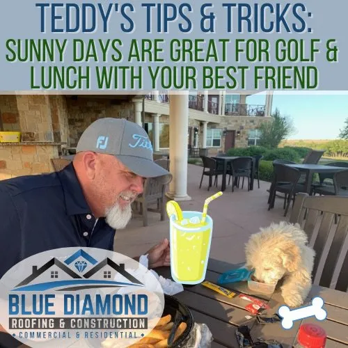 Slide of Blue Diamond Roofing & Construction