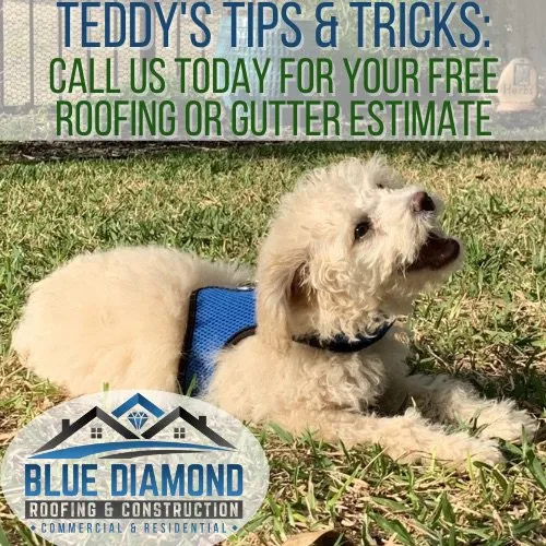 Slide of Blue Diamond Roofing & Construction