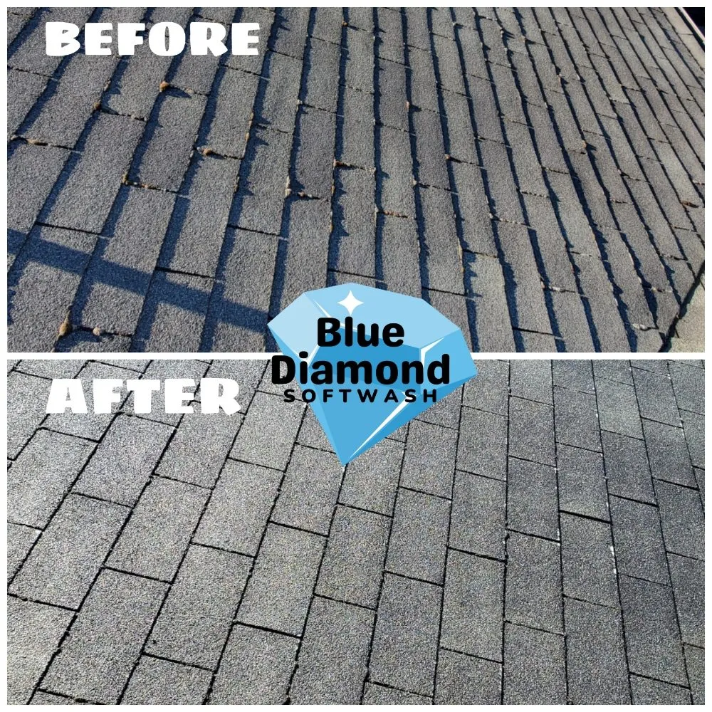 Slide of Blue Diamond Softwash