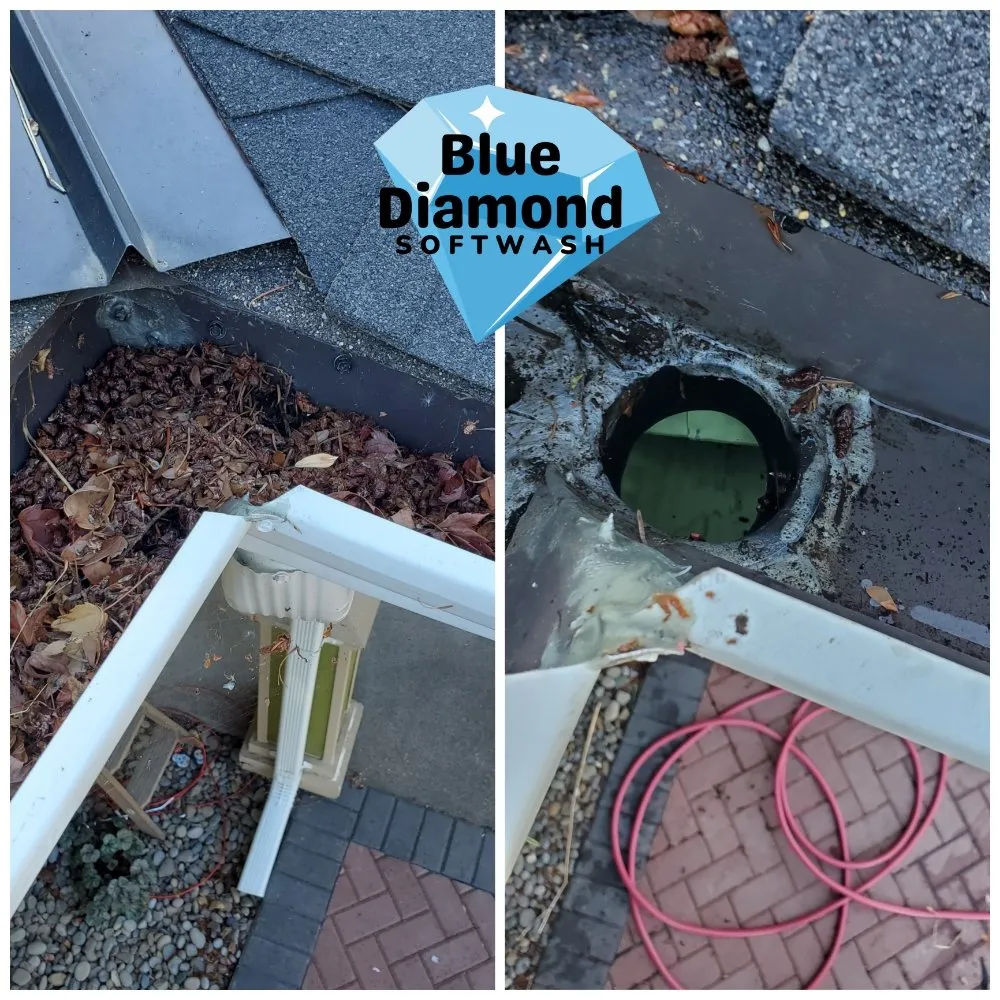 Slide of Blue Diamond Softwash