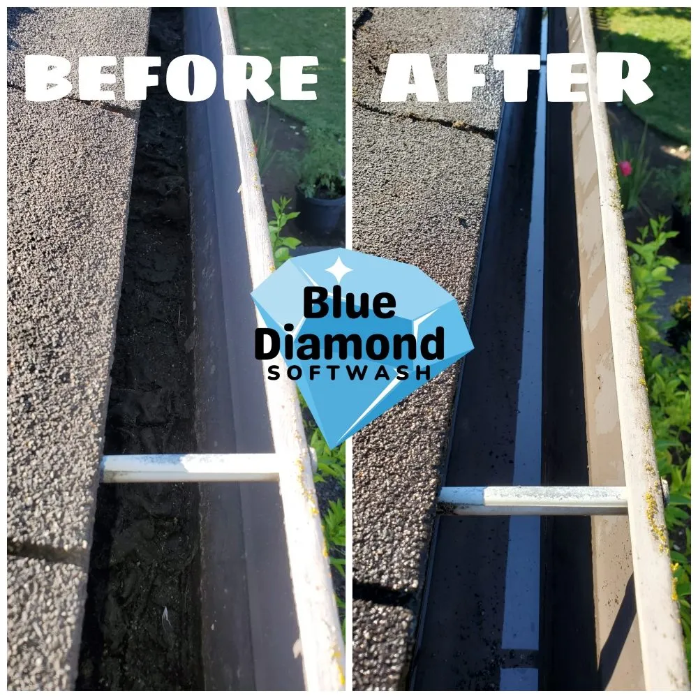 Slide of Blue Diamond Softwash