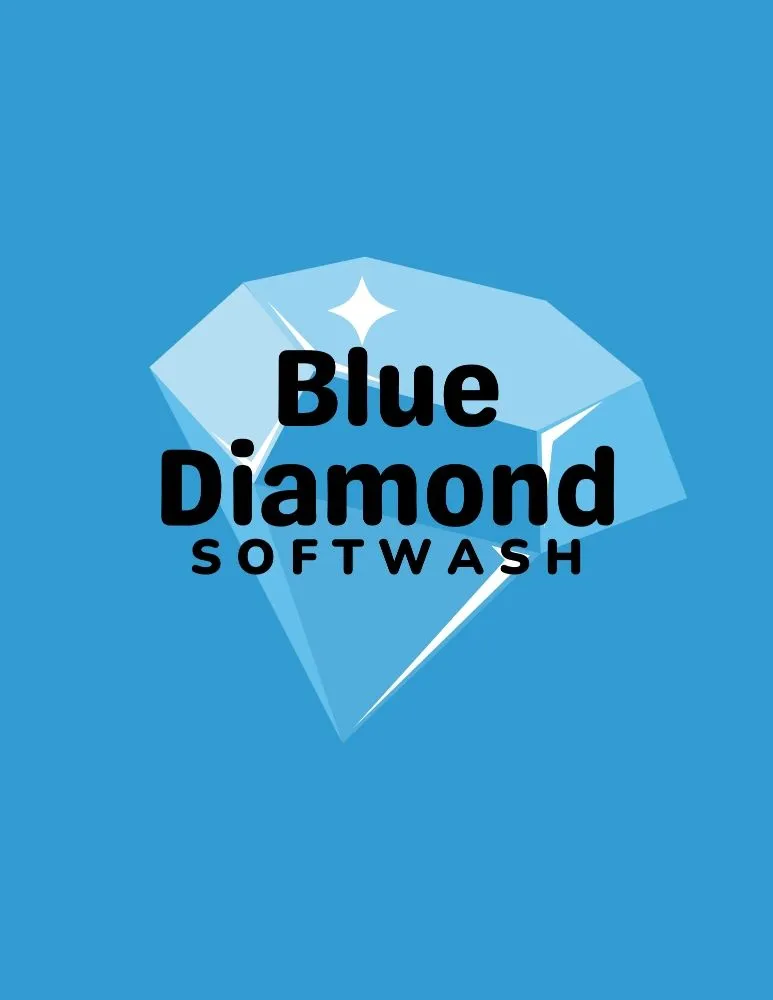 Slide of Blue Diamond Softwash