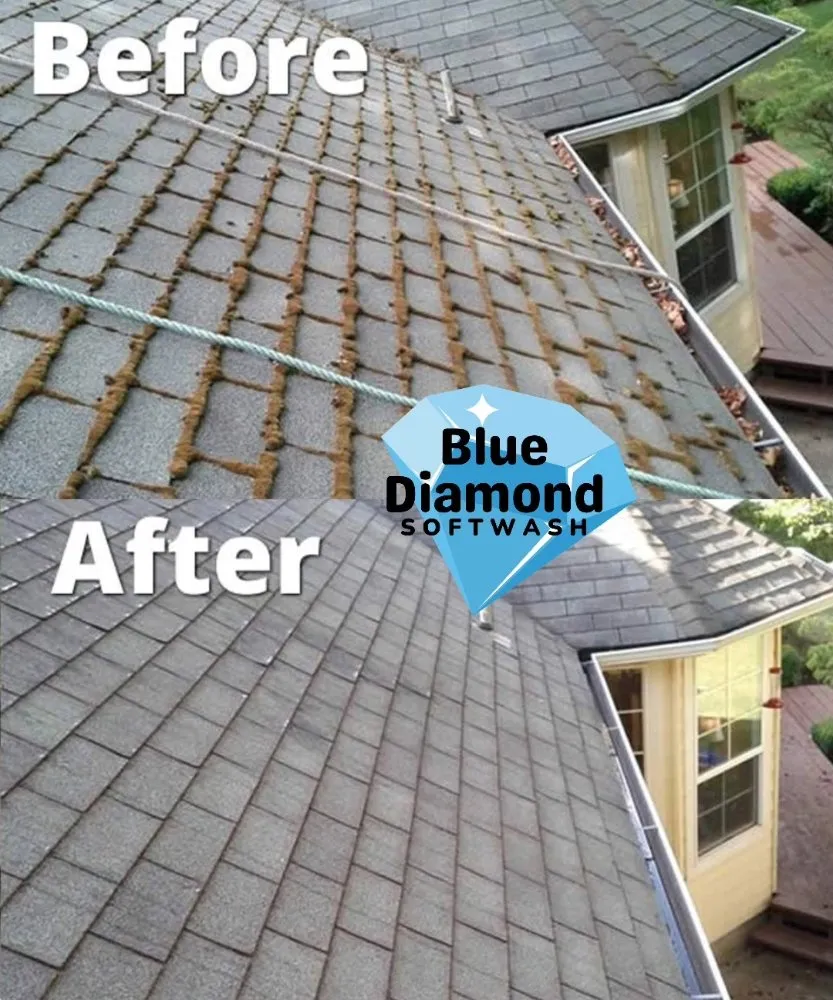 Slide of Blue Diamond Softwash