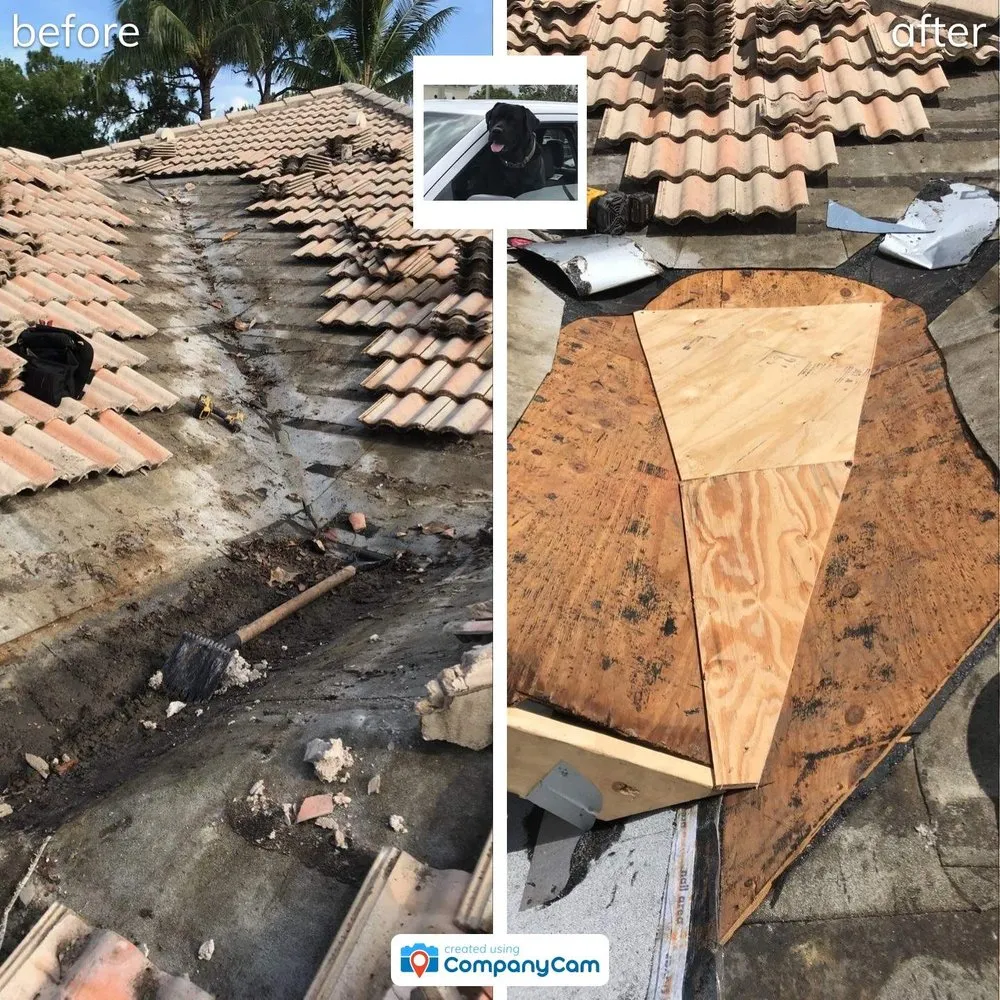 Slide of Blue Dog Roofing & Construction