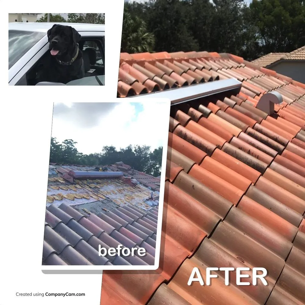 Slide of Blue Dog Roofing & Construction