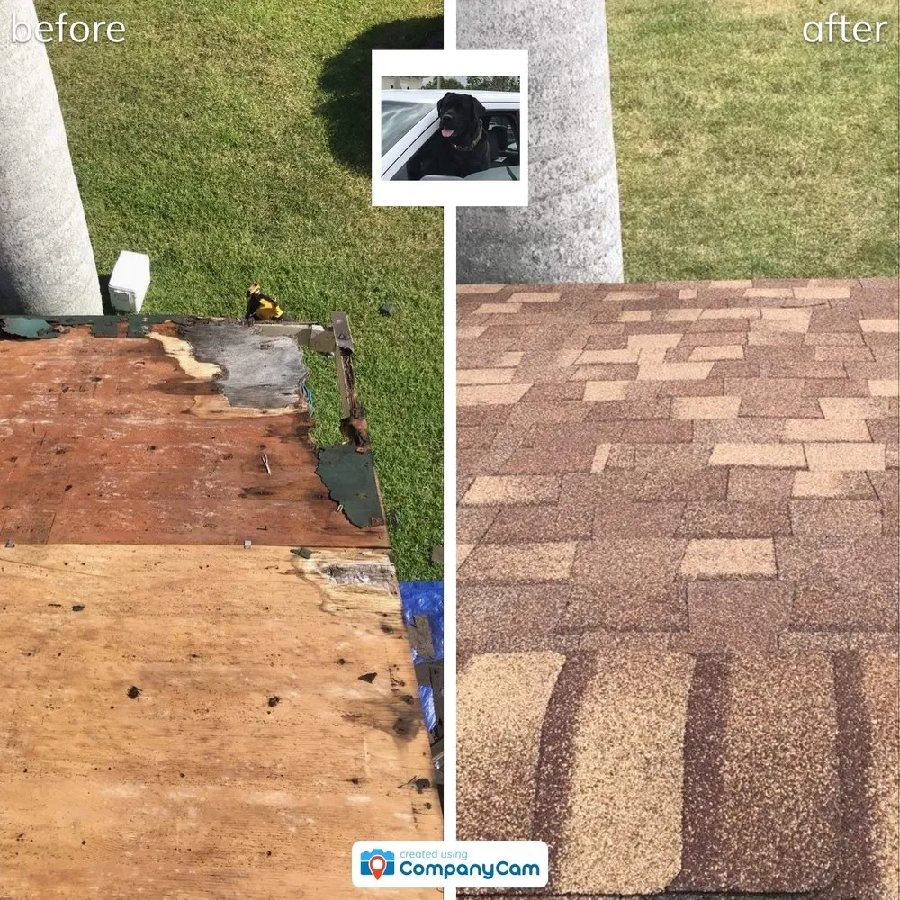 Slide of Blue Dog Roofing & Construction