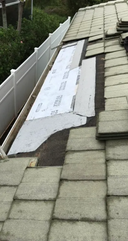 Slide of Blue Dog Roofing & Construction